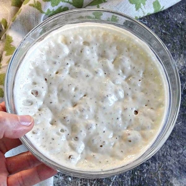 poolish vista de arriba en un bowl